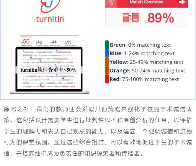 Turnitin similarity report example